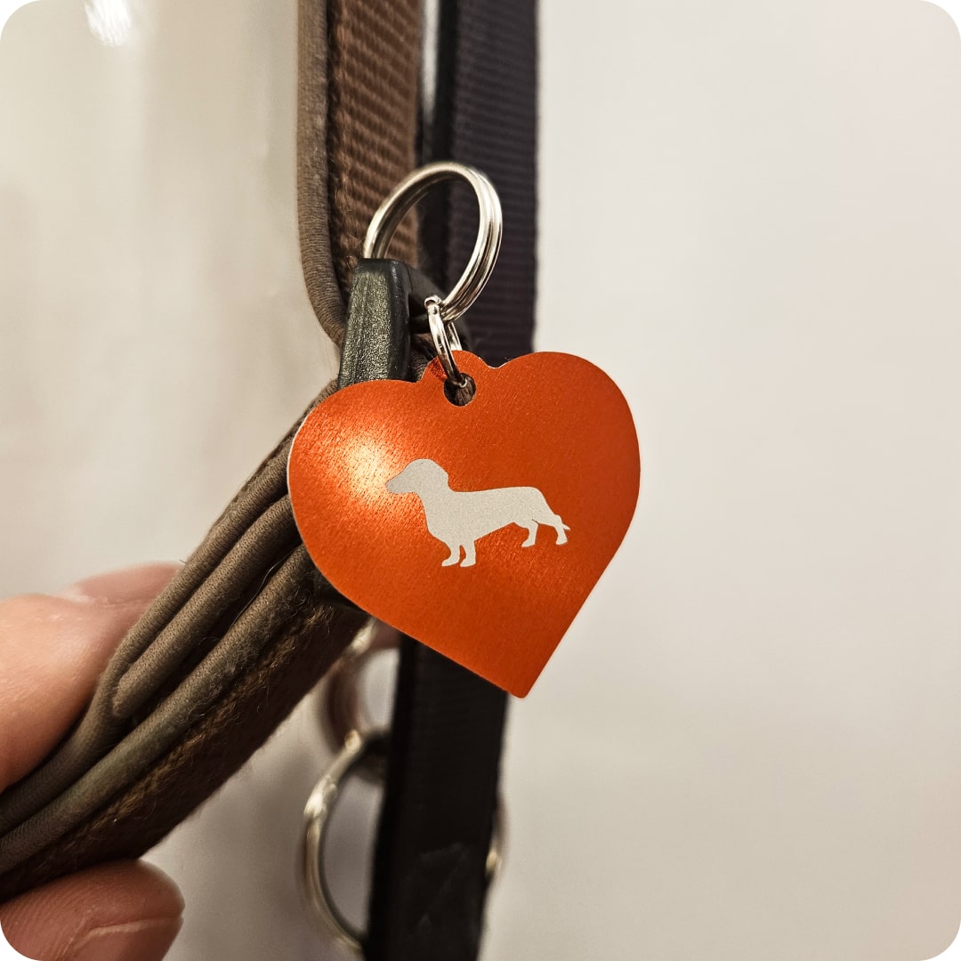 Pet Name Tag